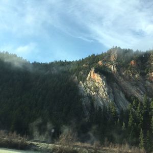 Meet your Posher, Oryn